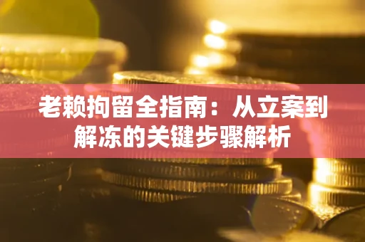 武汉老赖拘留全指南：从立案到解冻的关键步骤解析