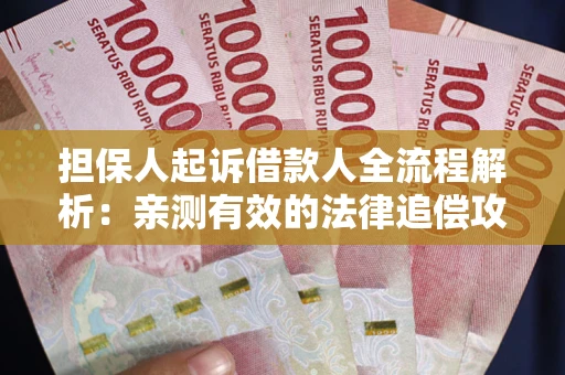 武汉担保人起诉借款人全流程解析：亲测有效的法律追偿攻略