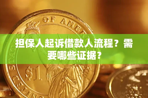 武汉担保人起诉借款人流程？需要哪些证据？