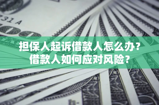 武汉担保人起诉借款人怎么办？借款人如何应对风险？