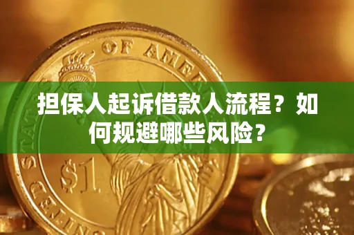 武汉担保人起诉借款人流程？如何规避哪些风险？