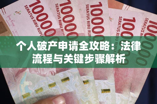 武汉个人破产申请全攻略：法律流程与关键步骤解析