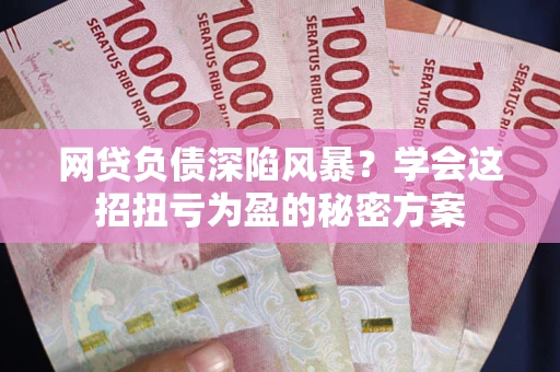 武汉网贷负债深陷风暴？学会这招扭亏为盈的秘密方案